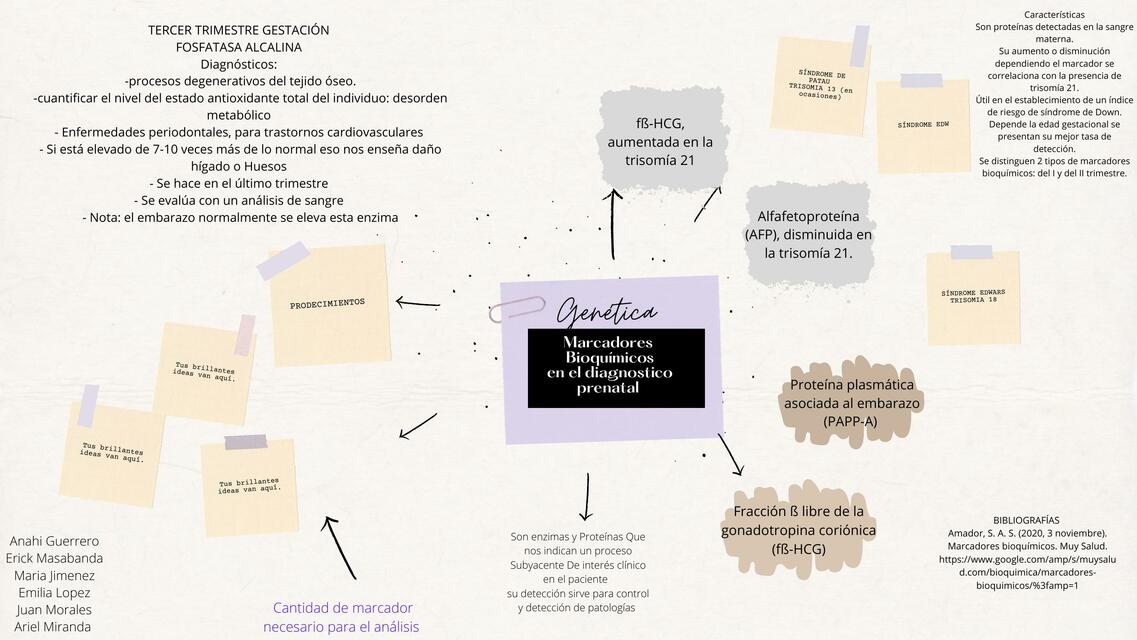 Borrador mapa mental marcadores prenatales