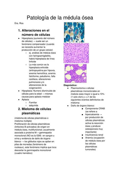 Patología de la Médula Ósea 