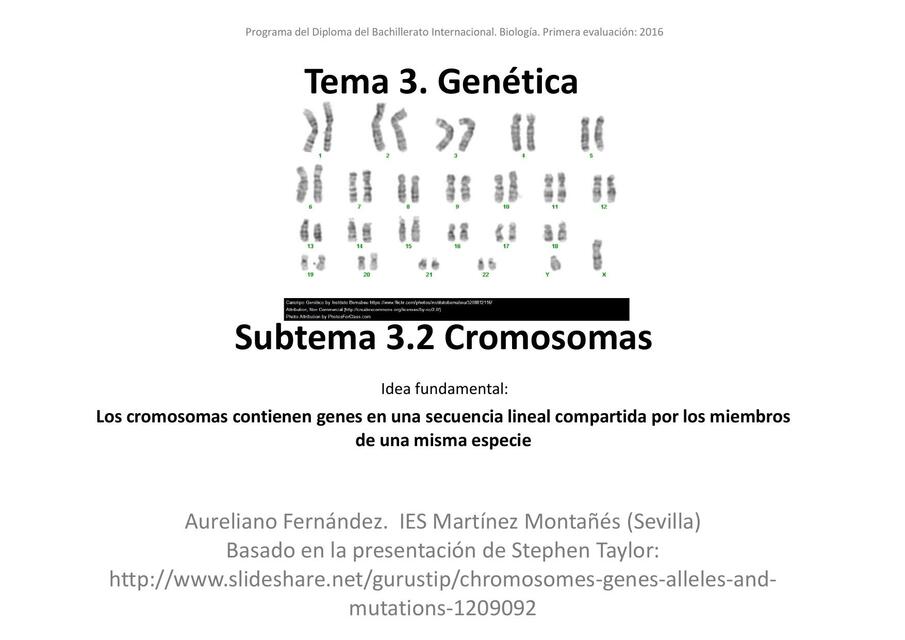 Cromosomas