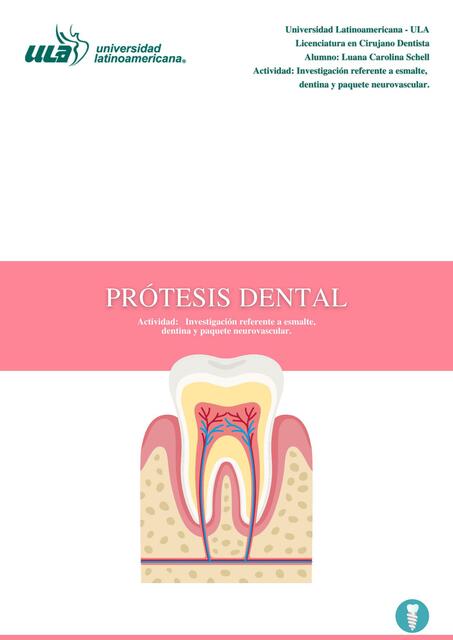 Características del Esmalte, Dentina y Pulpa