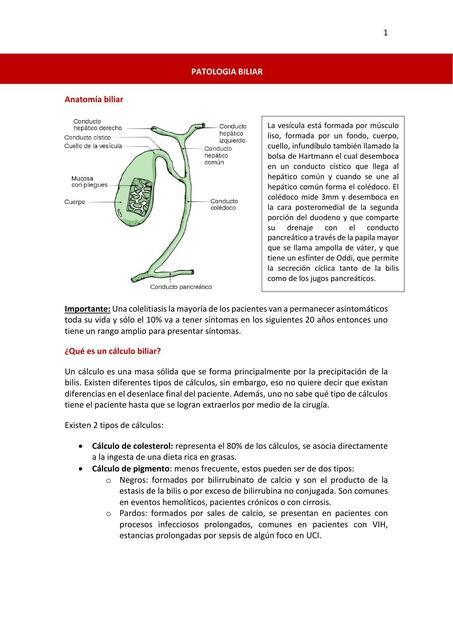 Patología Biliar 