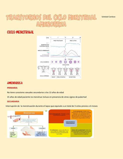 Trastornos del Ciclo Menstrual- Amenorrea 