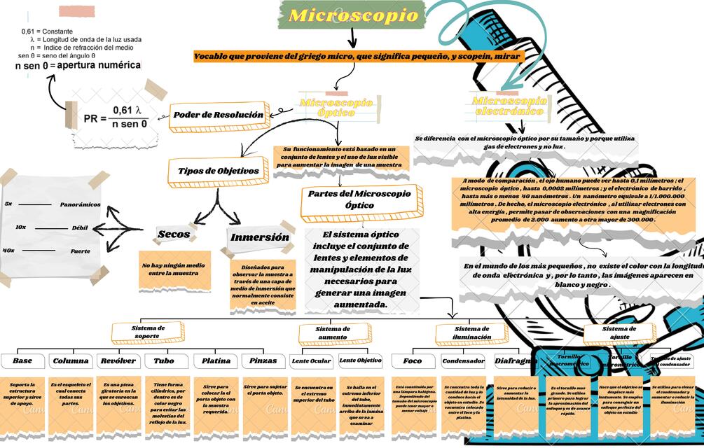 Microscopio