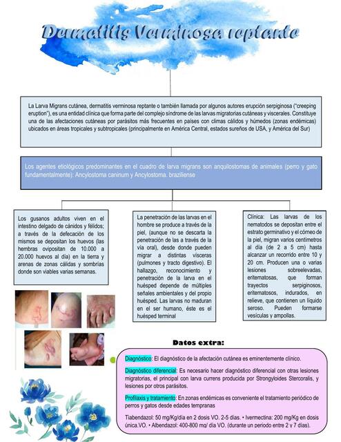 Dermatitis Verminosa Reptante