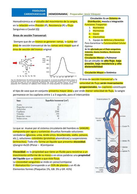 Hemodinamia