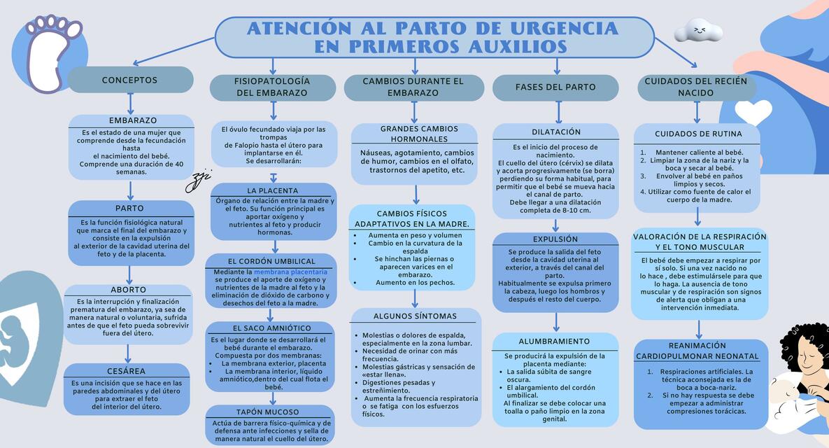 Parto de Urgencia en Primeros Auxilios