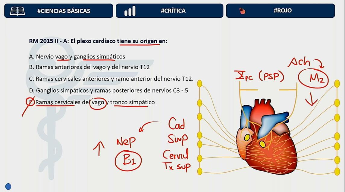 Preguntas y resolución de cardiología 