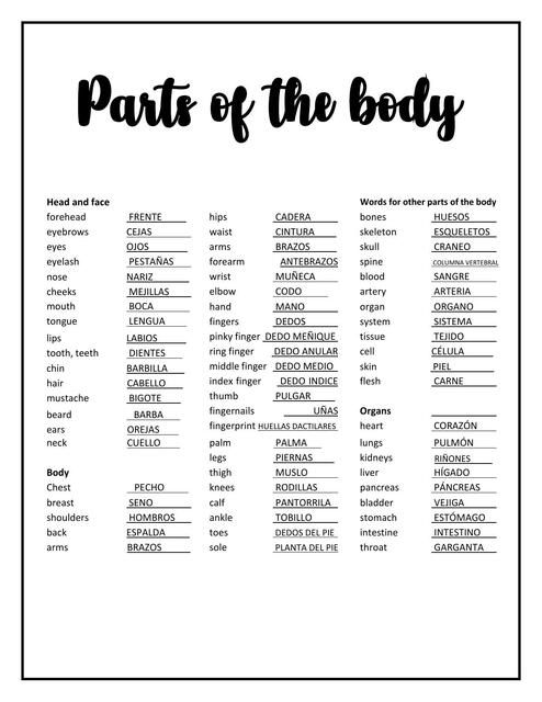 Parts of the Body 