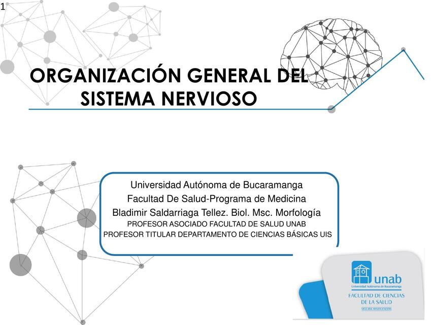 Organización General del Sistema Nervioso