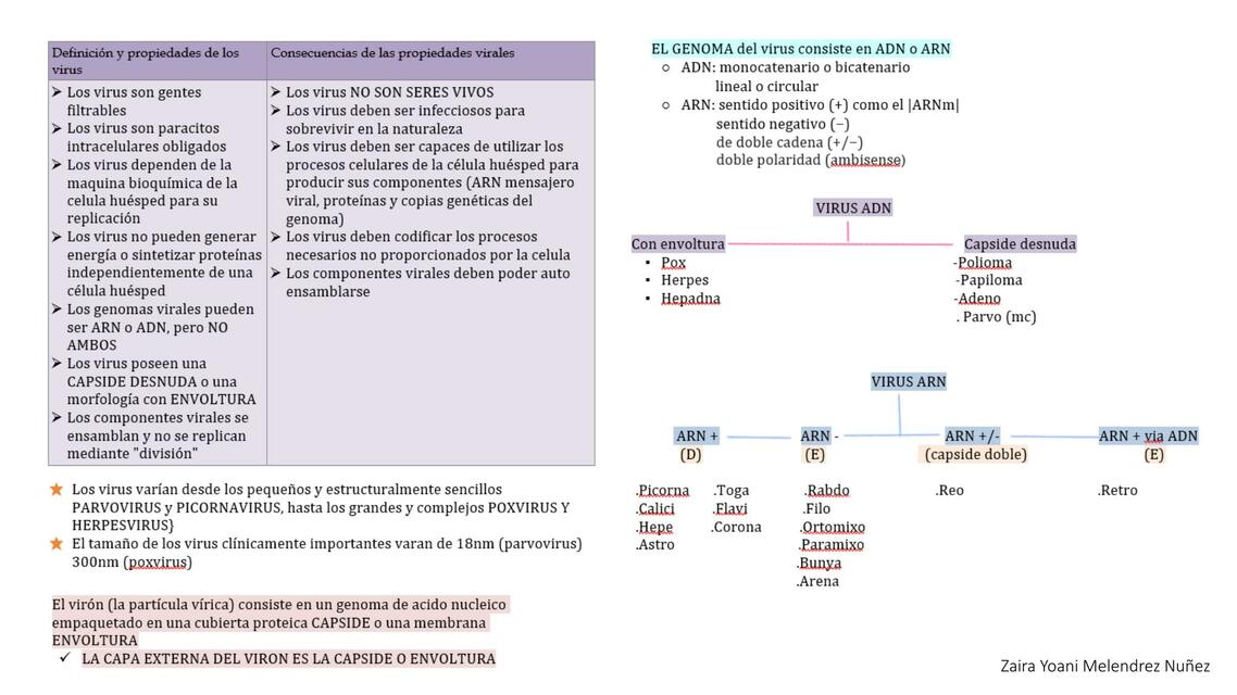 Clasificación y Estructura Vírica