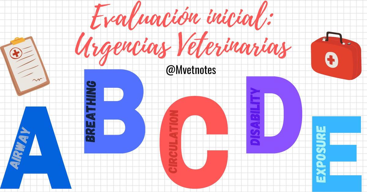 Urgencias veterinarias 