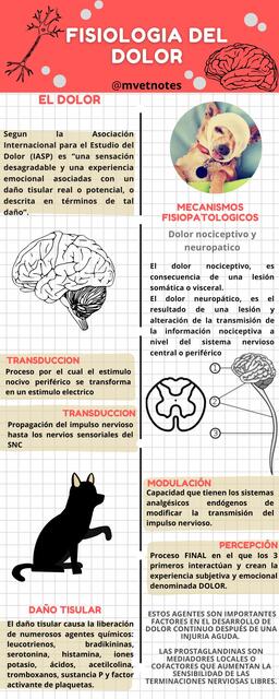 Fisiología del Dolor