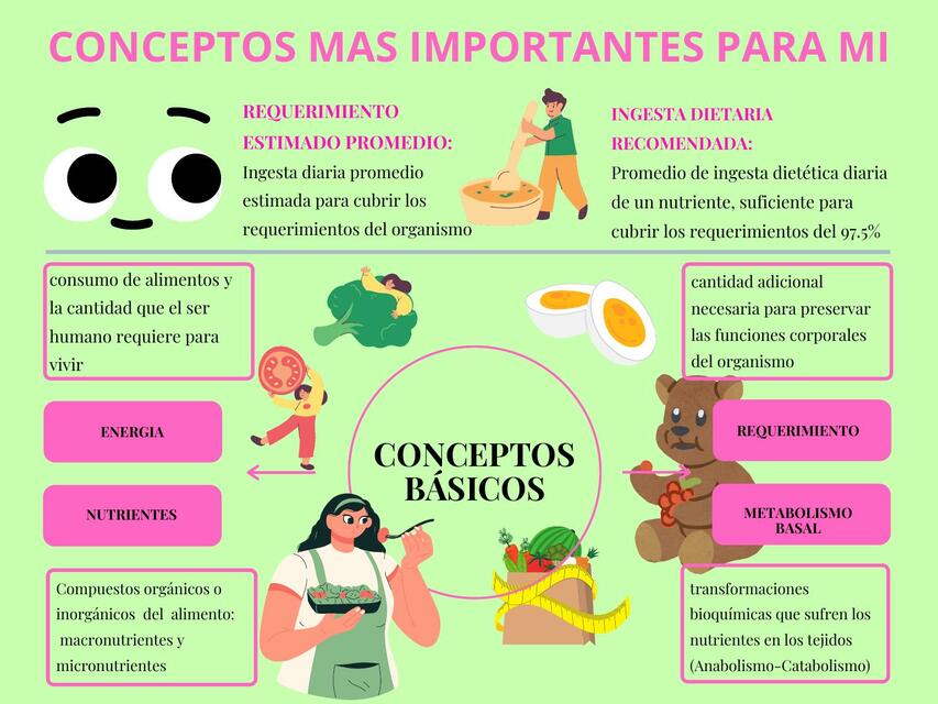 Requerimiento Nutricional 