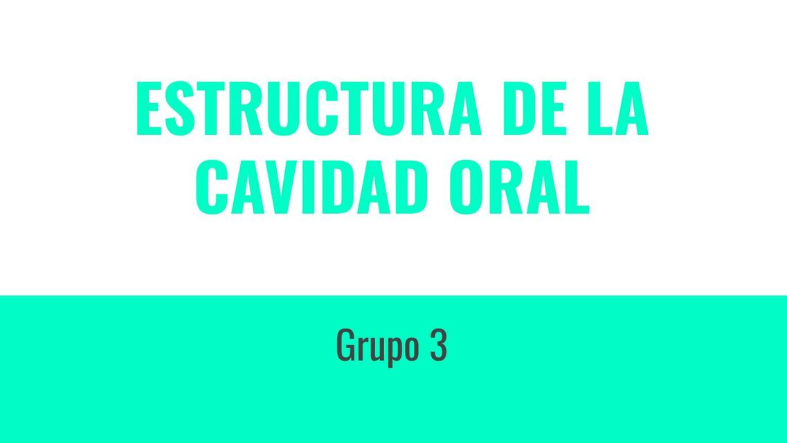 Estructura de la Cavidad Oral