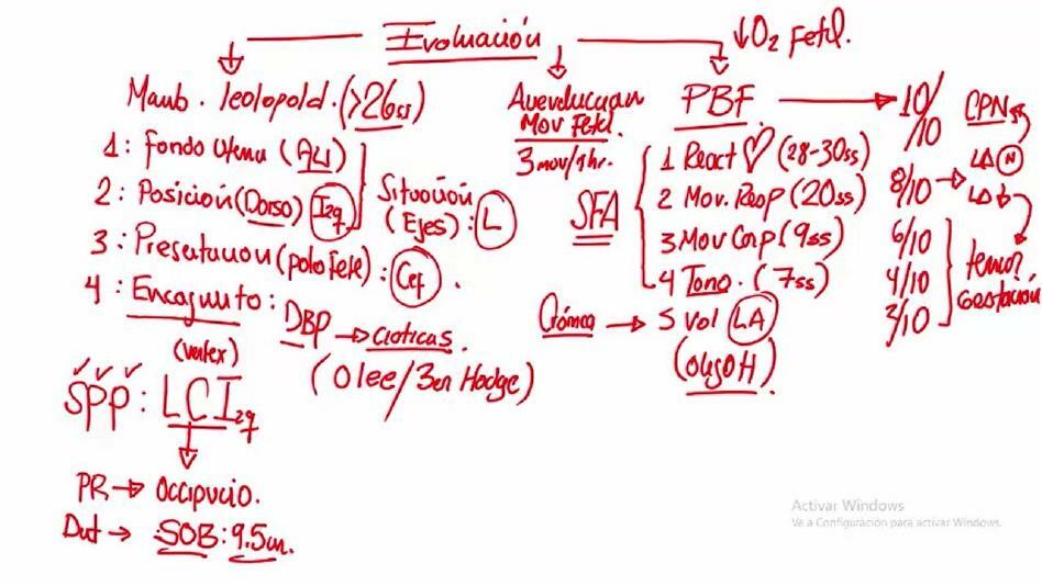 Obstetricia Preguntas Y Mapas