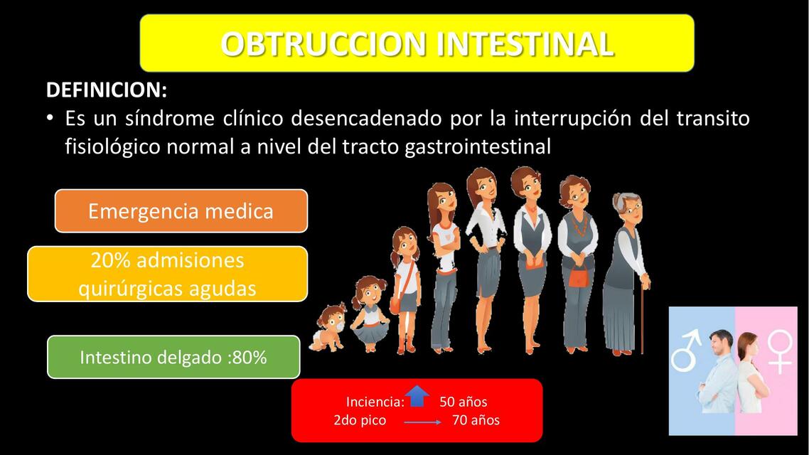 Obstrucción intestinal