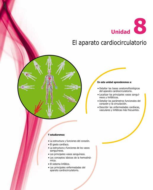 Resúmenes de Circulación del corazón | Descarga apuntes de Circulación ...