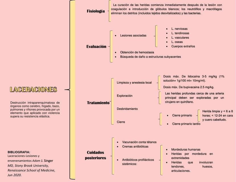 LACERACIONES CUADRO SINOPTICO