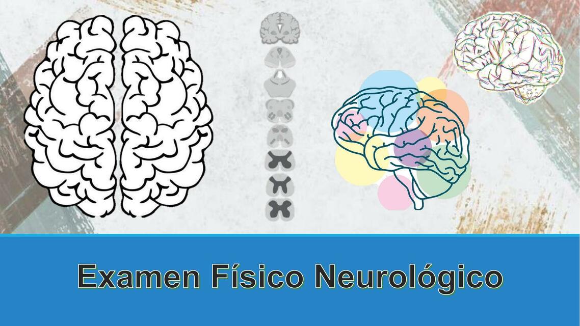 Examen Físico Neurólogico 