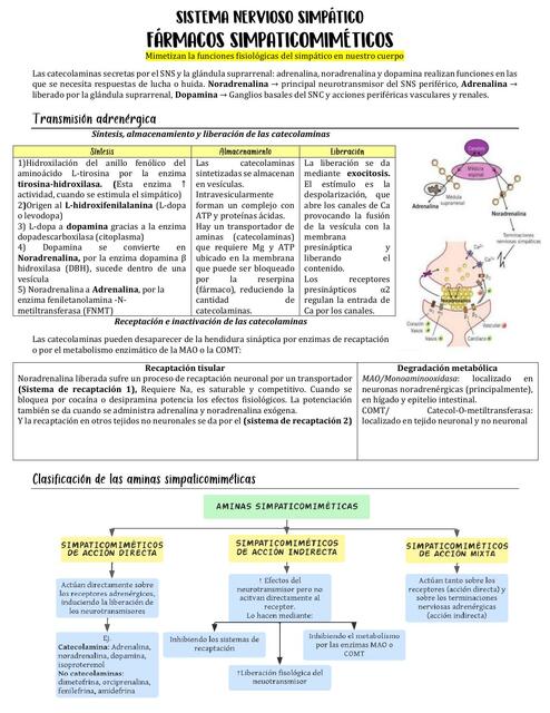 Farmacología Simpático