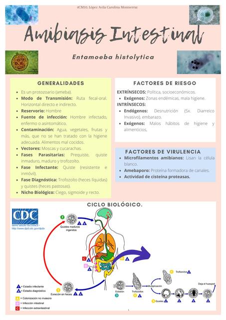 Amibiasis Intestinal