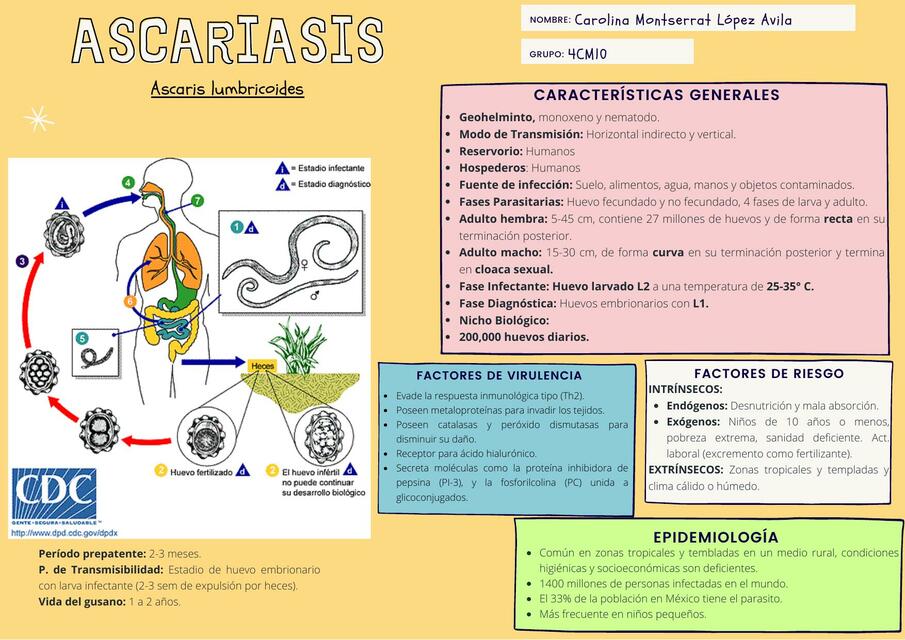 Ascariasis