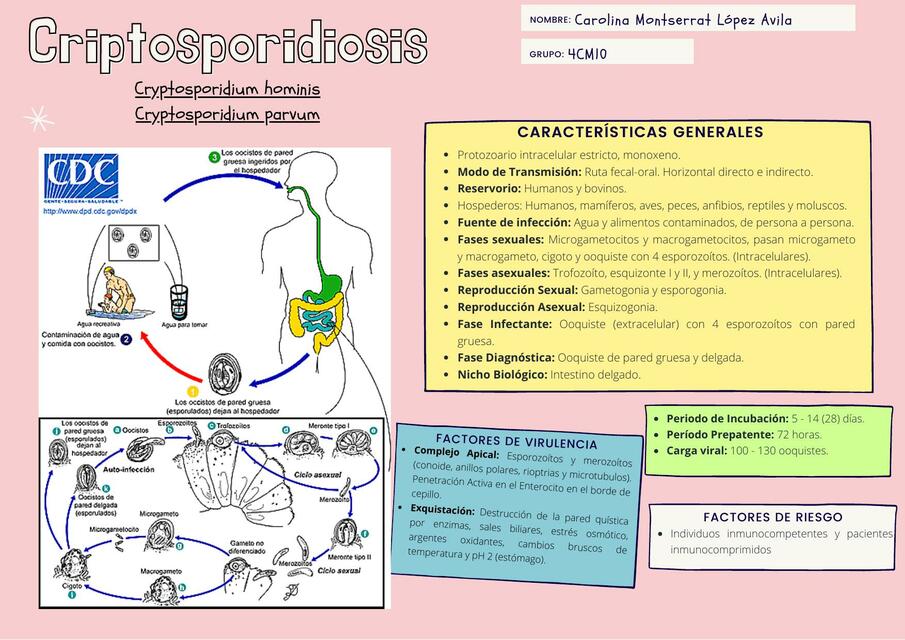 Criptosporidiosis