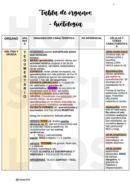 Tabla de órganos. Histología