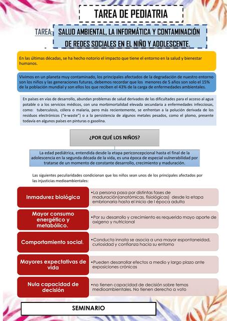 Salud ambiental la informática