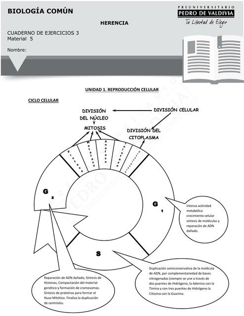 Biología Udocz