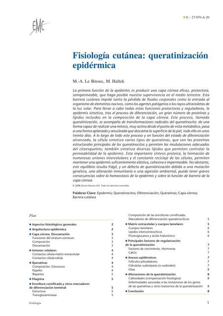 Fisiología cutánea queratinización epidérmica