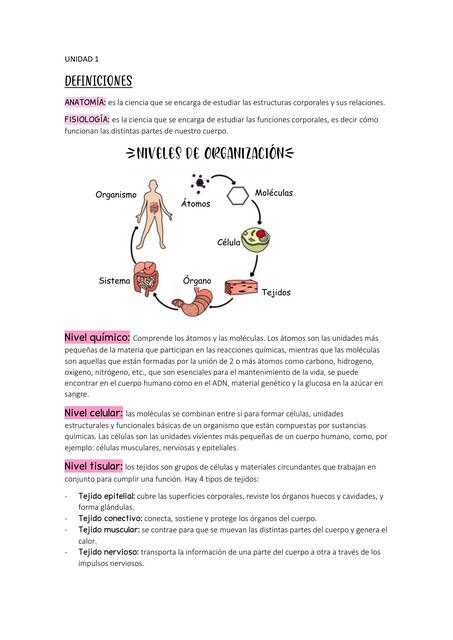 Introducción al Cuerpo Humano 