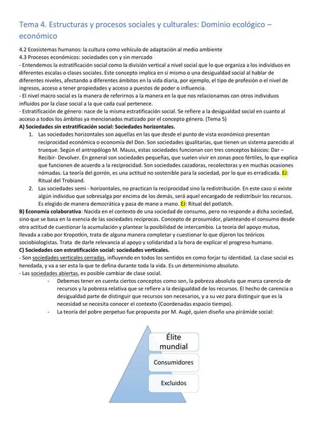 Tema 4: Estructuras y Procesos Sociales y Culturales: Dominio Ecológico-Económico