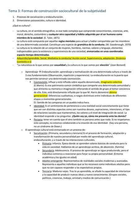 Tema 3: Formas de Construcción Sociocultural de la Subjetividad 