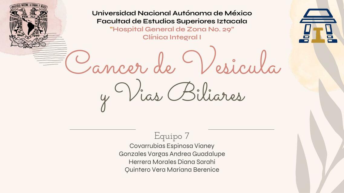 Cáncer de Vesícula y Vías Biliares