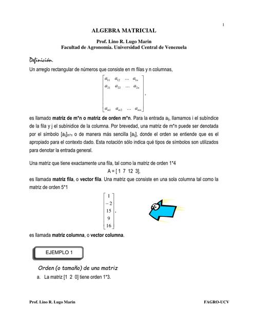 Introduccion Algebra Matricial y Sistemas de Ecuaciones Prof LLugo