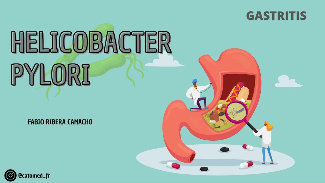 Diapositivas de Helicobacter Pylori