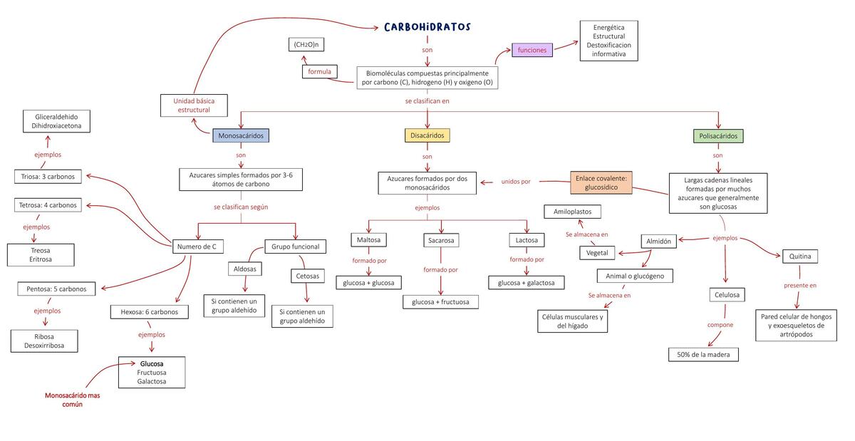 Carbohidratos 