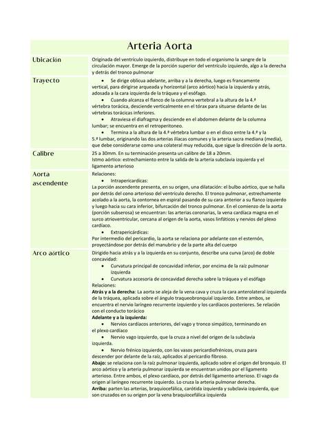 Arteria Aorta y Vena Cava