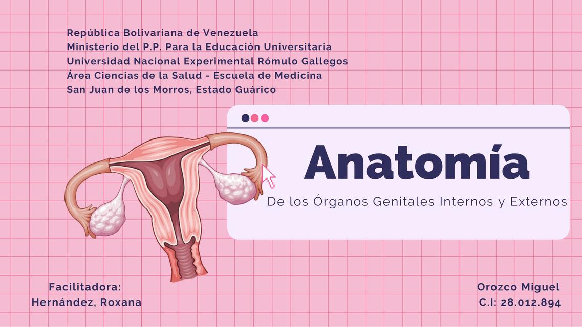 Anatomía de Genitales Femeninos