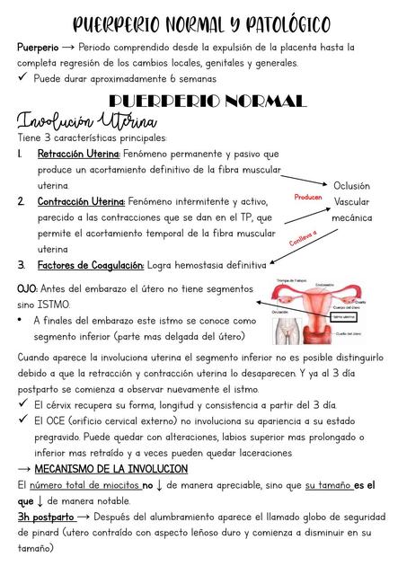 Puerperio normal y patológico 