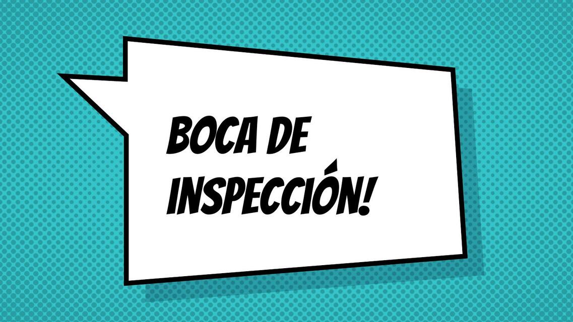 boca de inspección