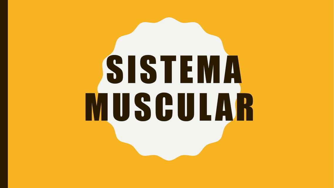 SISTEMA MUSCULAR  ppt