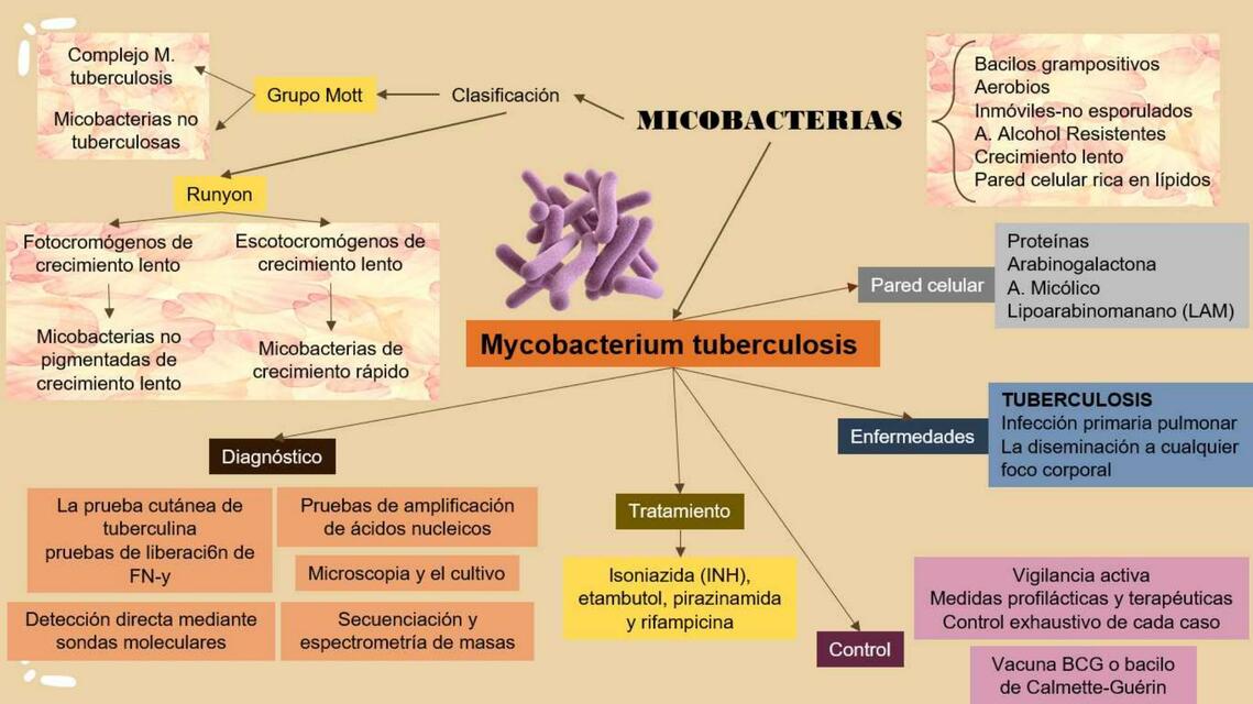 MICOBACTERIAS