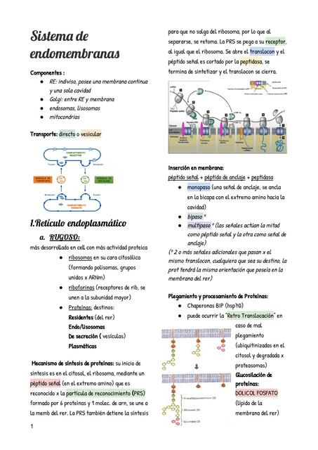 Sistema de Endomembranas