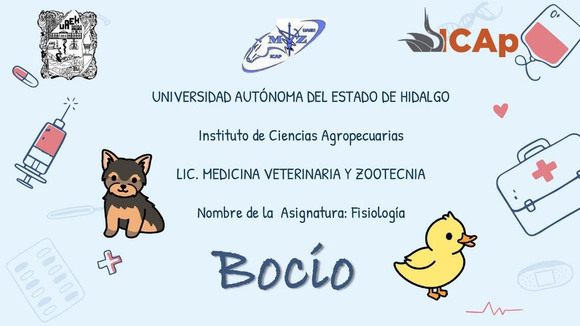 Bocio