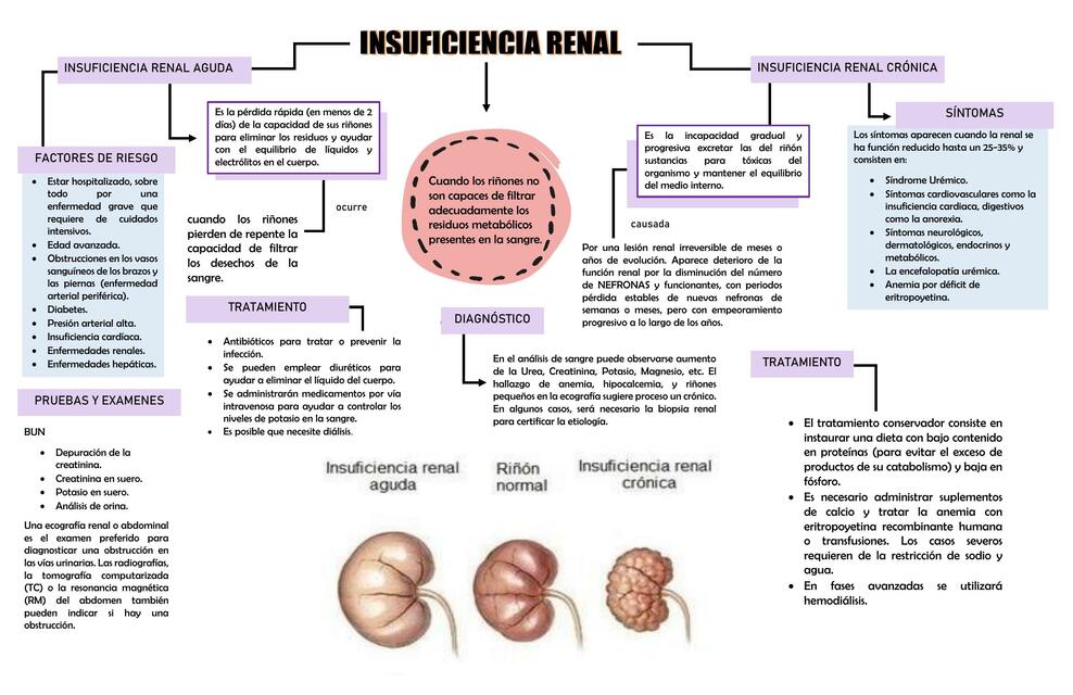 Alteraciones Renales