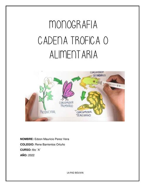 Cadena Trófica o Alimentaria