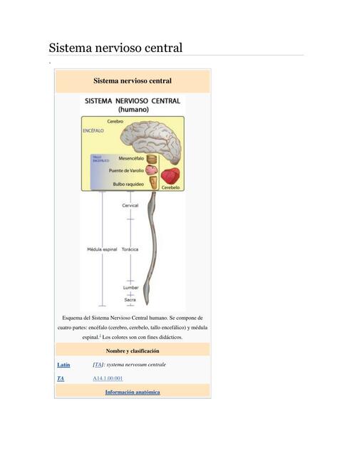 Sistema Nervioso Central 