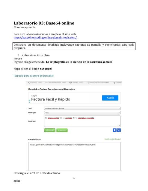 Laboratorio 03: Base64 Online 